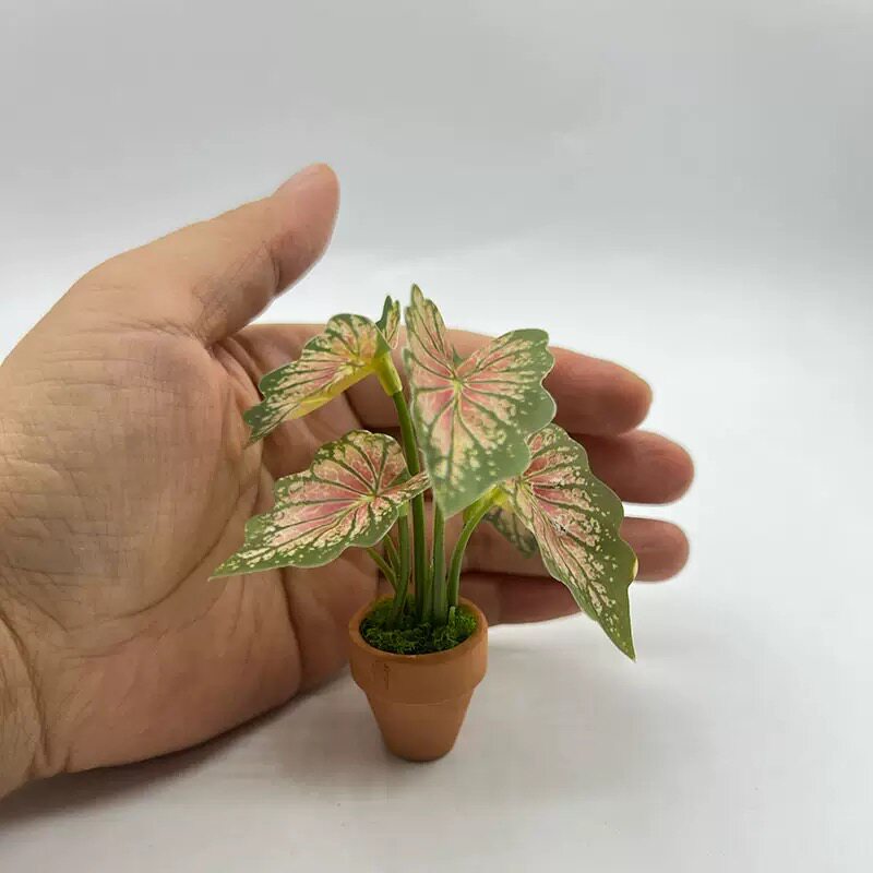娃娃屋摆件微缩绿植彩叶芋龟背绿植盆栽袖珍场景拍摄道具迷你植物