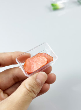 微缩食玩场景迷你肉片鲍鱼蔬菜