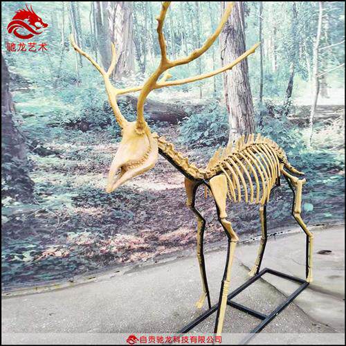 麋鹿羚羊马三趾马动物骨头标本仿真生物树脂骨架复原模型定做