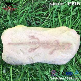 天然树脂制作恐龙化石骨架仿真动物海洋生物博物馆公园摆件.