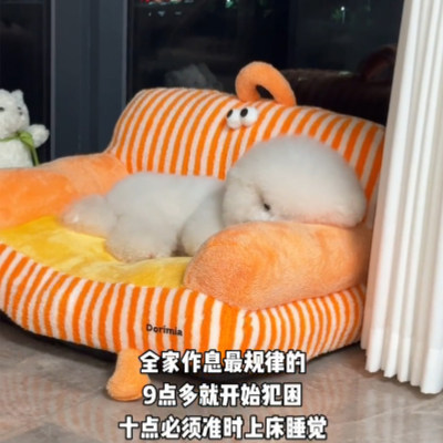 狗窝四季通用可拆洗宠物