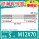 M12*70 [5]
