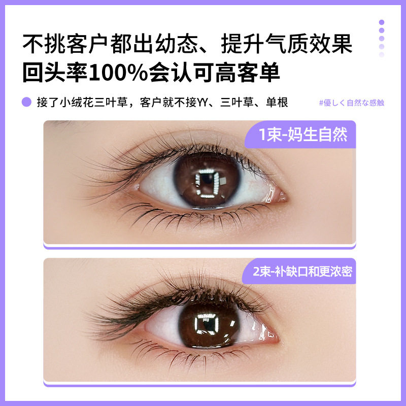 V型小绒花三叶草睫毛嫁接