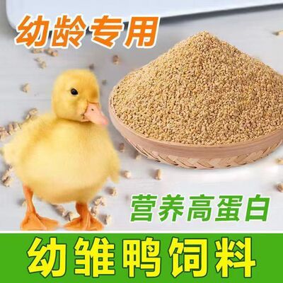 小黄鸭饲料柯尔鸭饲料网红鸭饲料可达鸭饲料幼崽观赏鸭柯基鸭小鸭