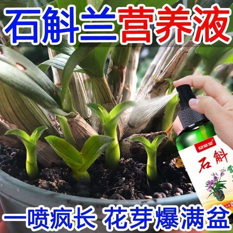 石斛兰专用营养液铁皮石斛盆栽通用型花肥生根壮苗催花肥料专用肥