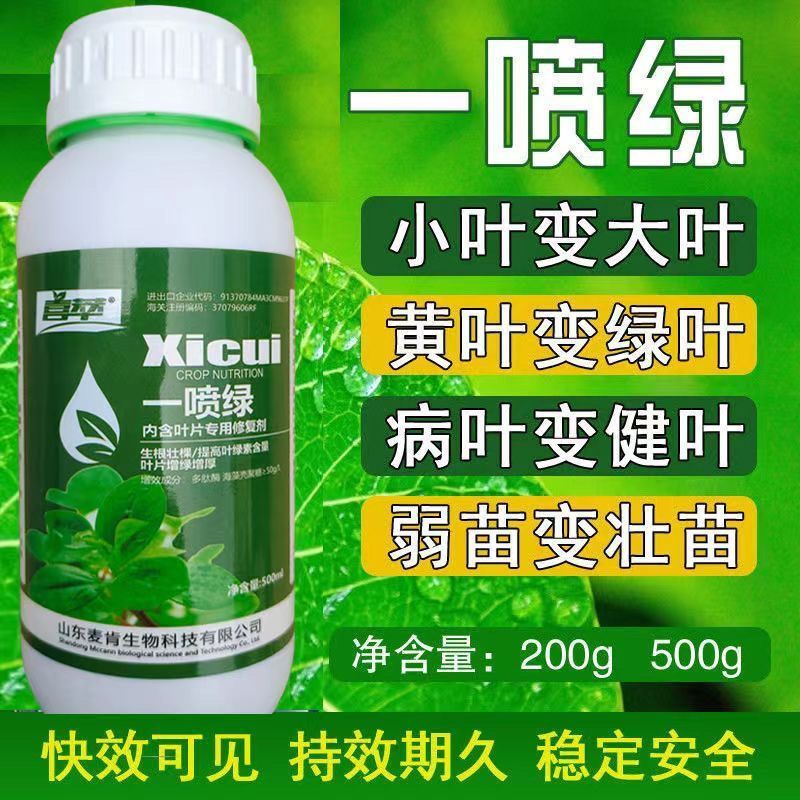 正品强效黄叶一喷绿叶面肥蔬菜家用营养液叶绿素绿叶通用型水溶肥