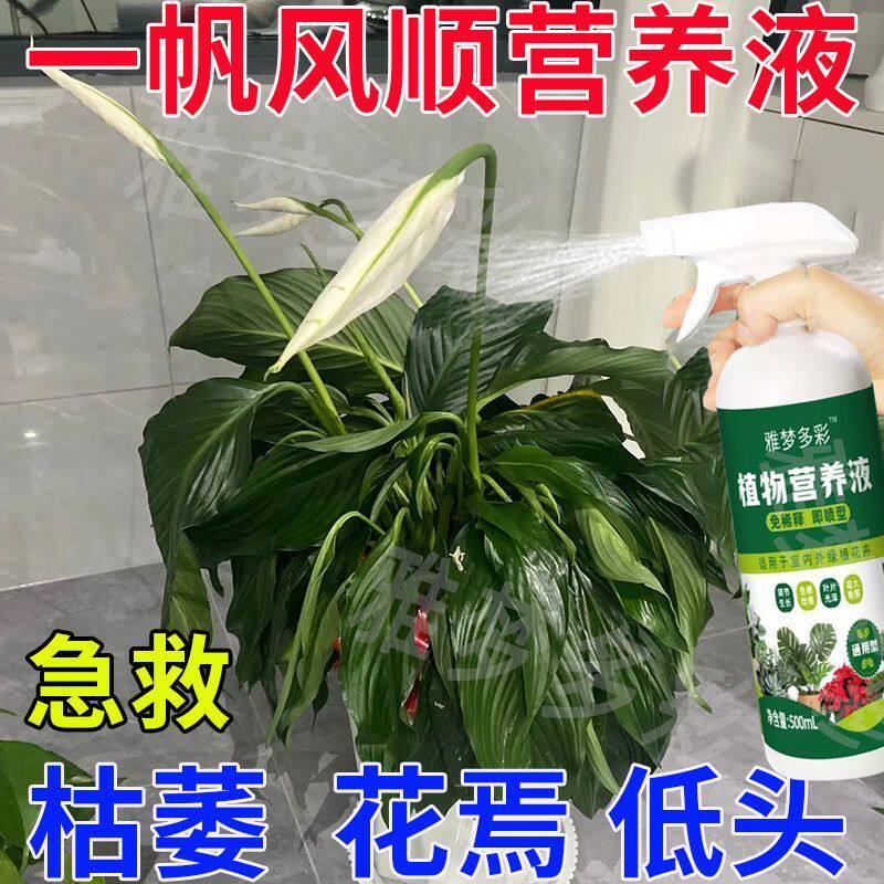 营养液白掌专用红掌绿植开花花期生长黄叶枯萎一帆风顺肥料液体