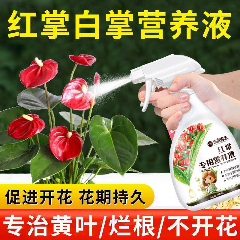 红掌白掌专用免稀释营养液家用盆栽催花黄叶一帆风顺液体植物肥料