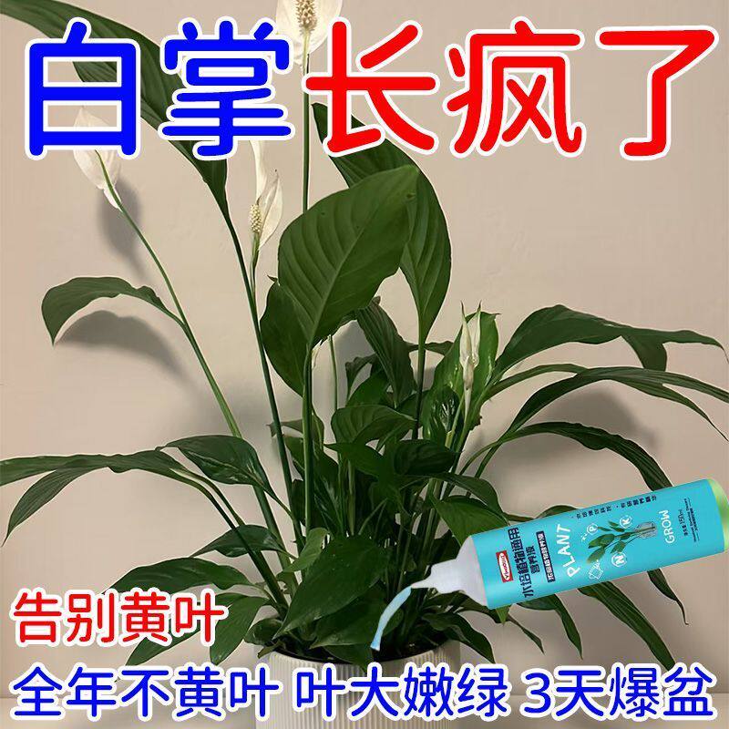 营养液白掌专用红掌绿植开花花期生长黄叶枯萎一帆风顺肥料液体