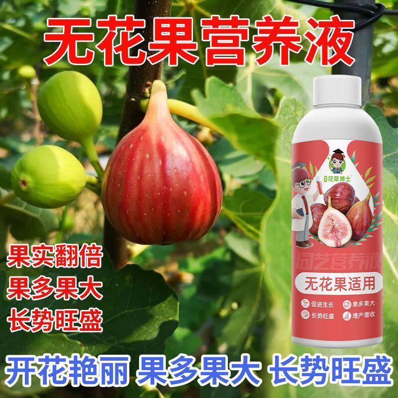 无花果营养液花肥有机营养肥催开花结果生根花卉植物新型专用肥料