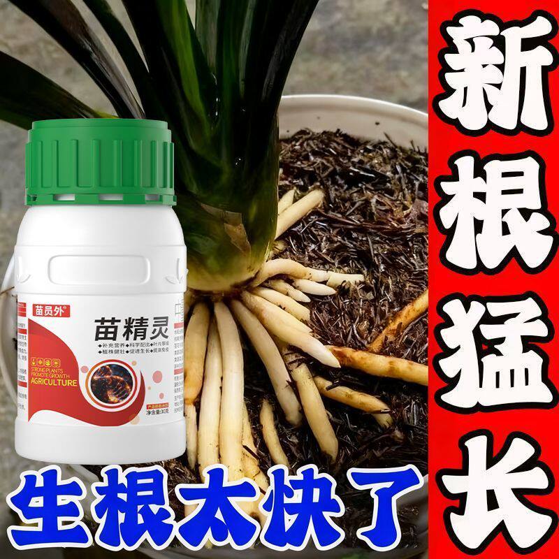 兰花生新根】生根爆根剂兰花烂根叶黄不成活壮根专用肥浓缩营养液