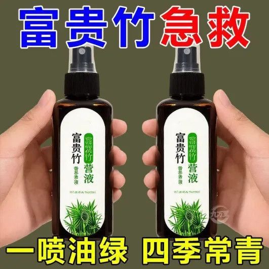 富贵竹专用营养液发财竹观音竹水培植物铜钱草绿植盆栽养花肥料
