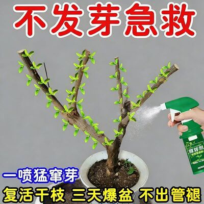 2026专治不发芽】老桩催芽剂促芽僵苗快速发新芽防黄叶促花营养肥