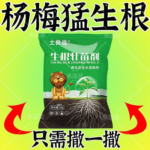 杨梅生根壮苗剂生根液移栽植苗育苗扦插壮根防虫害防烂根快速发根