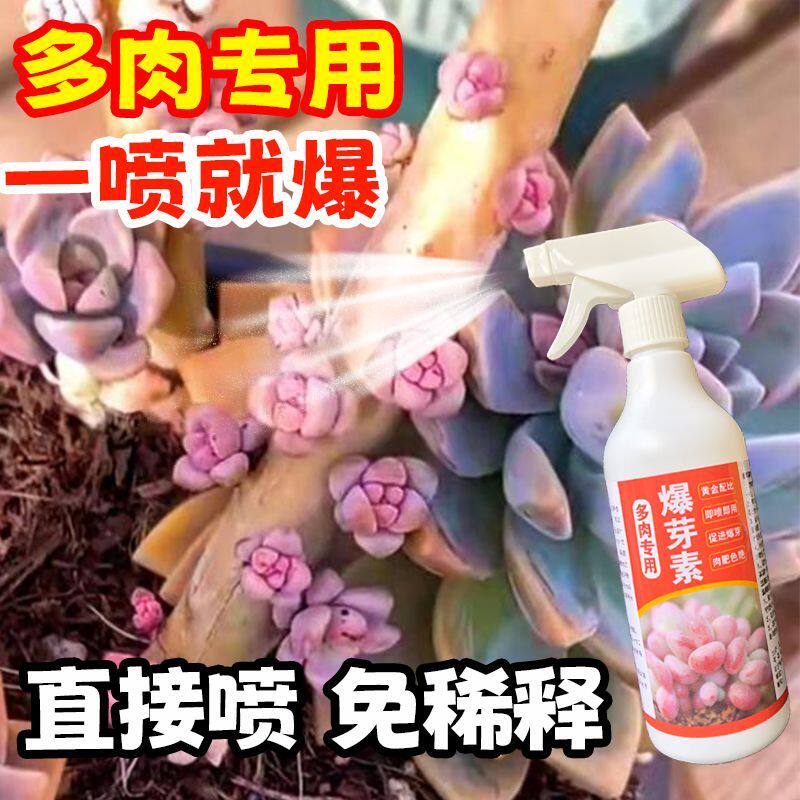 多肉专用肥料爆芽素优芽素爆头爆侧芽缀化喷剂养护多肉增肥有机肥