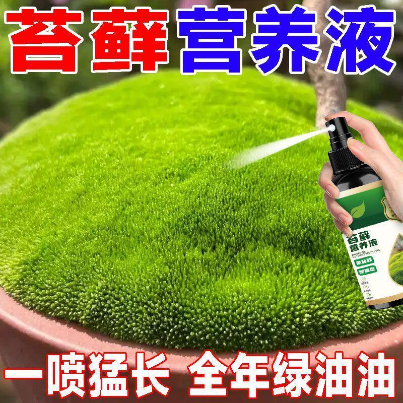 苔藓营养液促绿不黄叶专用营养液盆栽绿植植物苔藓通用型有机肥