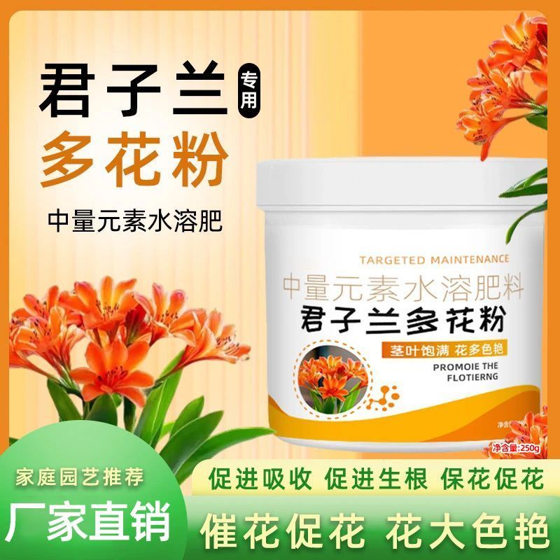 君子兰多花粉叶子发黄掉叶促箭催开花免稀释重量元素水溶肥田园