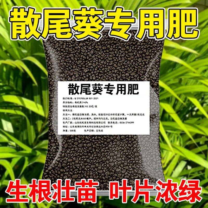 散尾葵专用肥料盆栽绿植叶子发黄卷叶凤尾竹肥料有机肥颗粒缓释肥