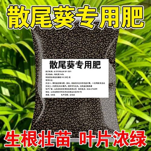 散尾葵专用肥料盆栽绿植叶子发黄卷叶凤尾竹肥料有机肥颗粒缓释肥
