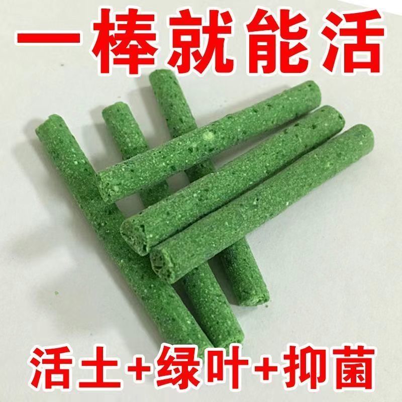 绿植肥懒人营养棒花肥料盆栽植物通用型家用养花正品花卉缓释肥