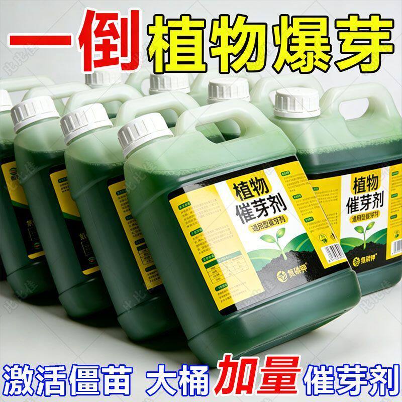 老桩催芽剂花卉营养液促芽僵苗快速发新芽防黄叶生根催芽绿植通用