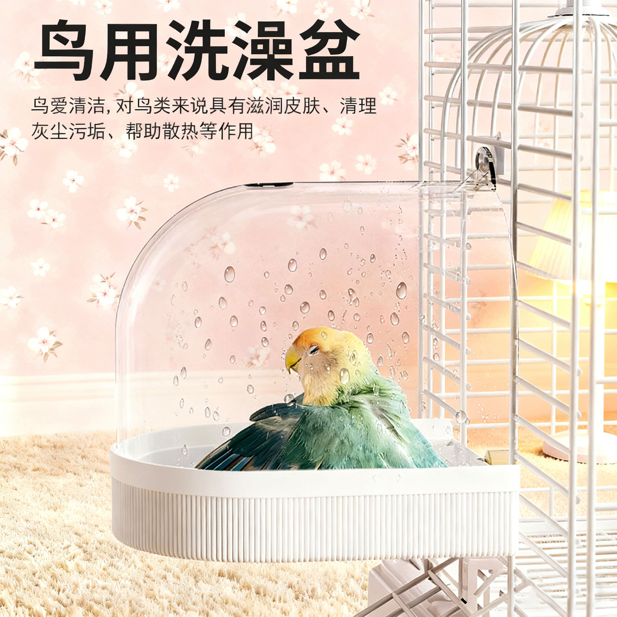 鹦鹉专用洗澡盆浴室神器