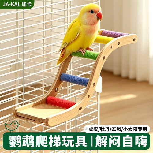 鹦鹉玩具解闷自嗨笼内装饰大全