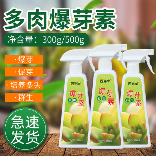 贝可施多肉爆芽素优芽素