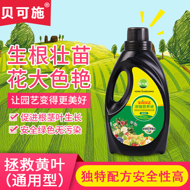 营养液植物水培富贵竹绿萝花肥料