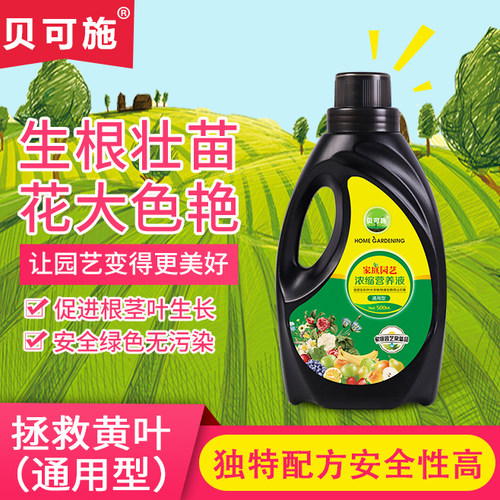 营养液植物水培富贵竹绿萝花肥料
