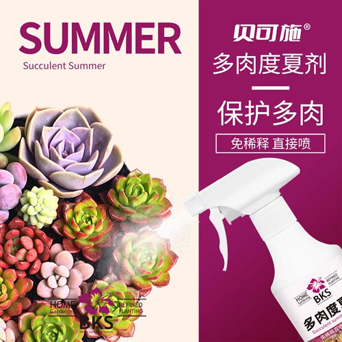 贝可施多肉度夏剂肥料专用肥营养液免稀释绿植大量元素水溶肥料