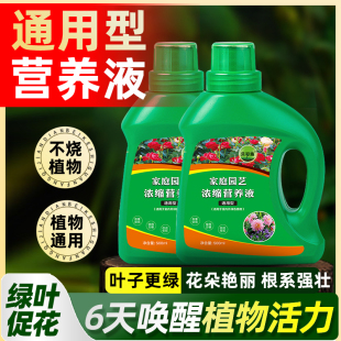 贝可施植物营养液通用型液体肥花肥水培发财树月季 养花草莓肥料