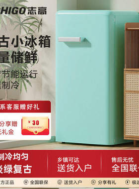 志高复古小冰箱一级能效冷藏柜家用小型饮料柜保鲜柜美容院小冰箱