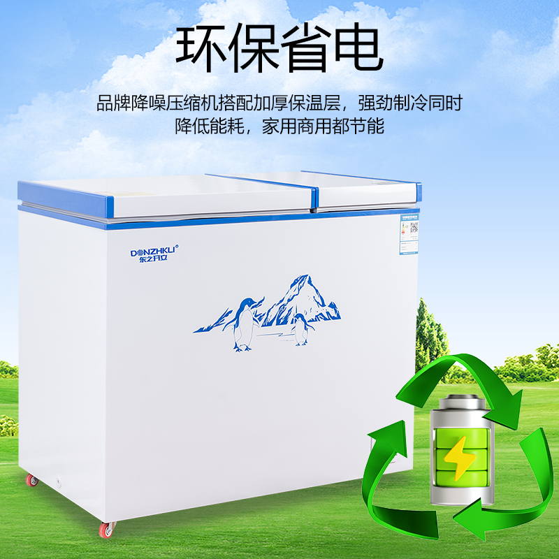 东之开立双温大冷冻柜冷藏冷冻保鲜大容量家用商用双门冰柜