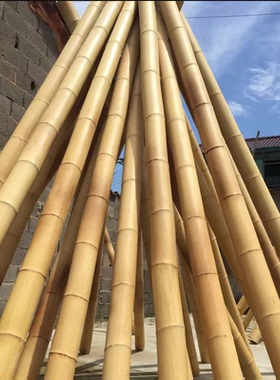 竹竿装饰竹子防腐竹杆户外婚庆竹子杆屋装饰竹篱笆装潢彩旗竹竿子