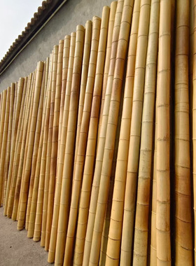 装修竹竿装饰竹杆防腐竹子室内吊顶毛竹楠竹户外庭院竹栅栏竹篱笆