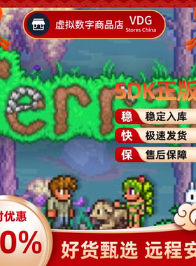 Steam 泰拉瑞亚Terraria SDK激活/好友码激活 远程安装