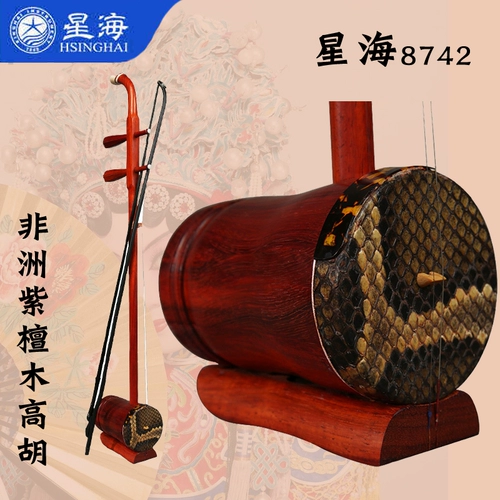 Huangmei Opera Takayo Takayama Erhu Singhai Музыкальный инструмент Гуандун Музыка