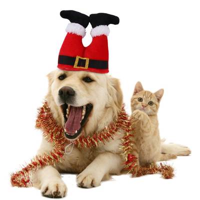 Pet Funny Christmas Clown Hat宠物搞怪圣诞小丑帽圣诞节饰品