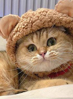 Pet Cat Cap Dog Headgear Cute Bear Ears Warm Plush Hat New Y