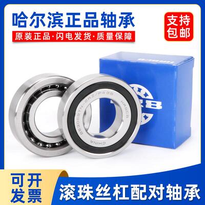 哈尔滨丝杆轴承 BS1747-2047-2562-3062-3572-4072-4090-50100/P4