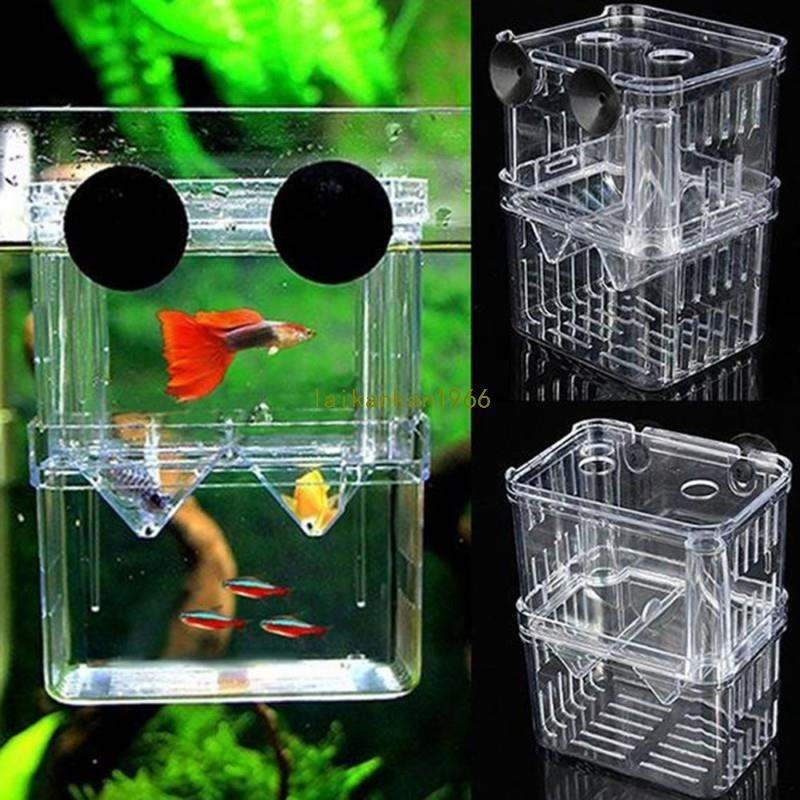Aquarium Fish Breeding Box Pet Fish Tank Guppy Double Breedi
