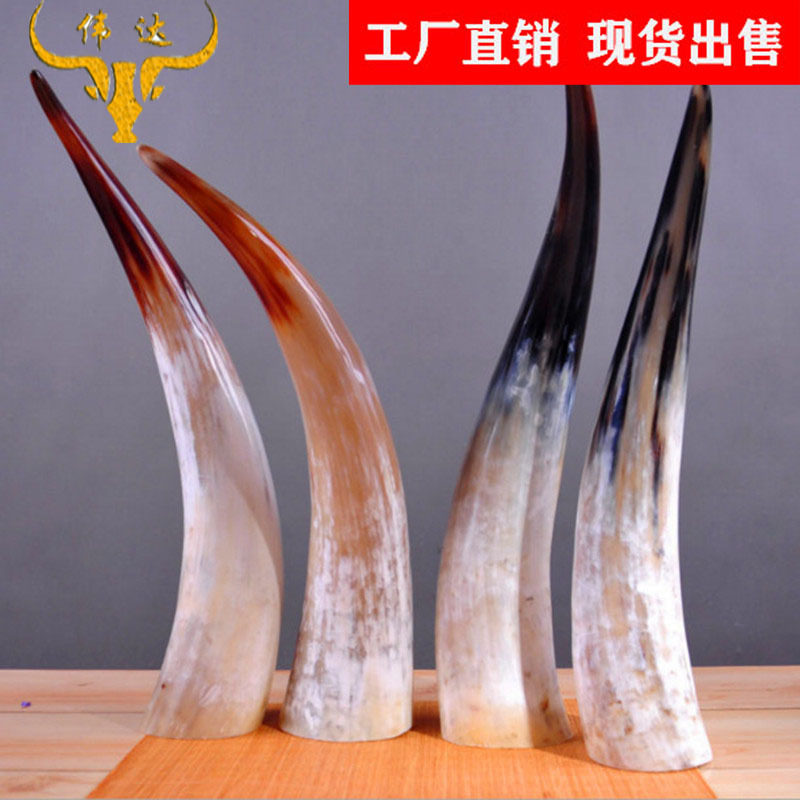 白牦牛角单角摆件白牦牛角立角牛角工艺牛角梳子厂家加工