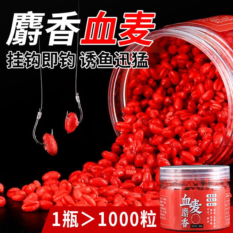 谷麦钓血麦粒颗粒鱼料鱼食野钓黑坑鲤鱼青鱼钓饵鱼饵专用钓鱼饵料