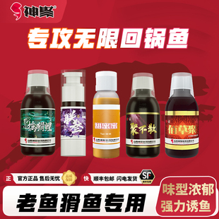鱼饵添加剂专攻鲤鱼老鱼猾鱼专用黑坑水库四季 神聚无限回锅鱼套装