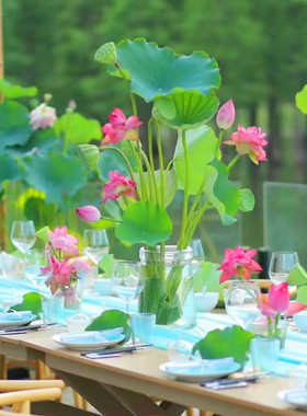 防真荷花假荷叶莲花客餐厅桌面中式花艺插花水池装饰环创造景道具