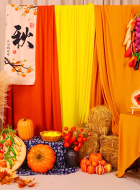 幼儿园晒秋天季纱幔挂布国风中式开学森系主题环创场背景布置装饰