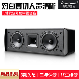 Accusound 雅歌声 HD2中置音箱5.1家庭影院发烧号角5寸中置音箱