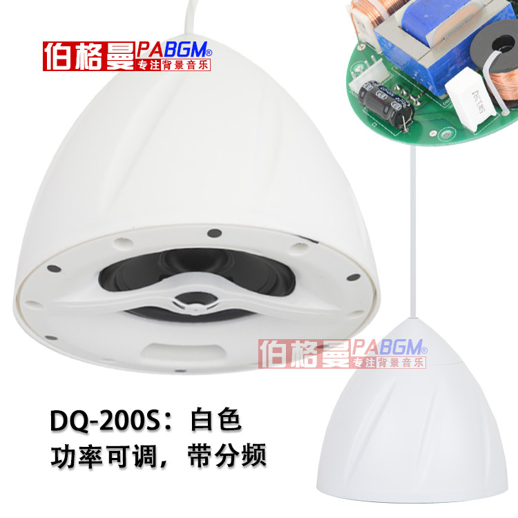 定阻定压两用音箱吊装吊球音响室内悬挂式环绕套装理发店吊挂吊杆