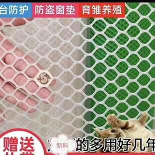 整卷塑料网阳台防护网防猫网养殖网格鸡鸭鹅垫脚网养蜂塑料围栏网